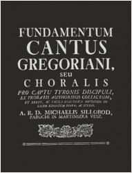 fundamentum silobod