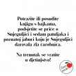 snjeguljica ideja tekst